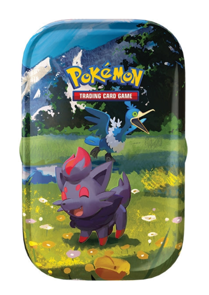Ascended Heroes Mini Tin  [Zorua & Cramorant]